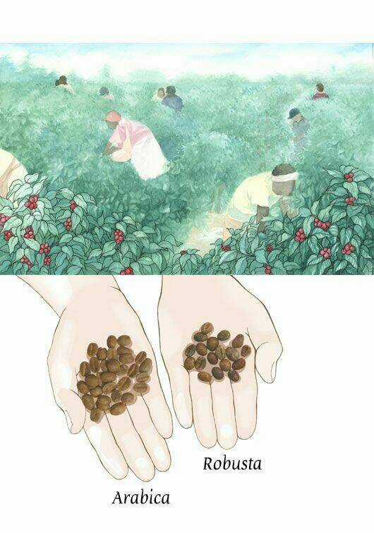 Crazy Coffee Cat Chapter 1 trang 22