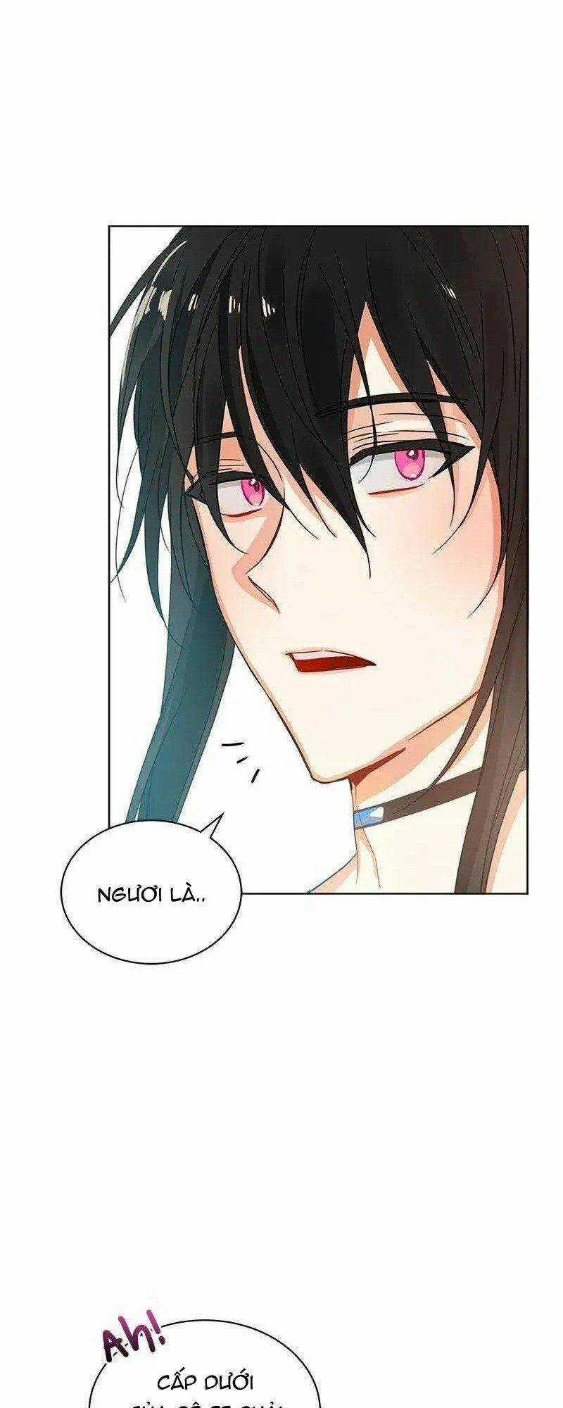 Crimson Karma Chapter 74 trang 27