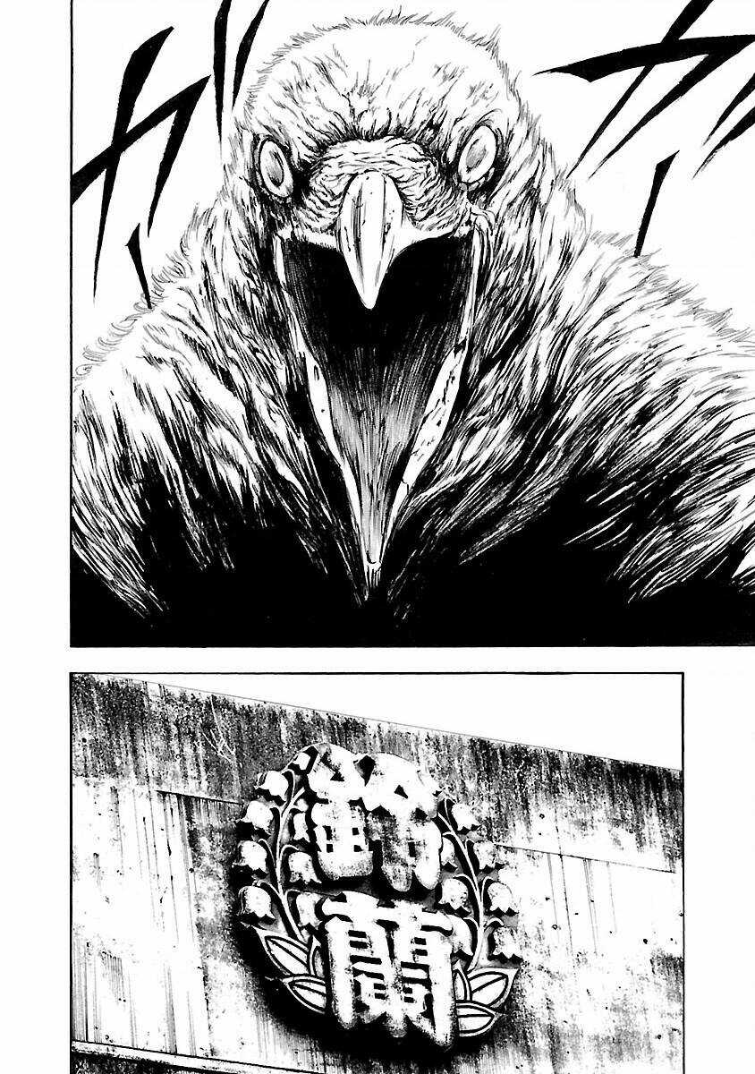 Crows Explode Chapter 19 trang 19