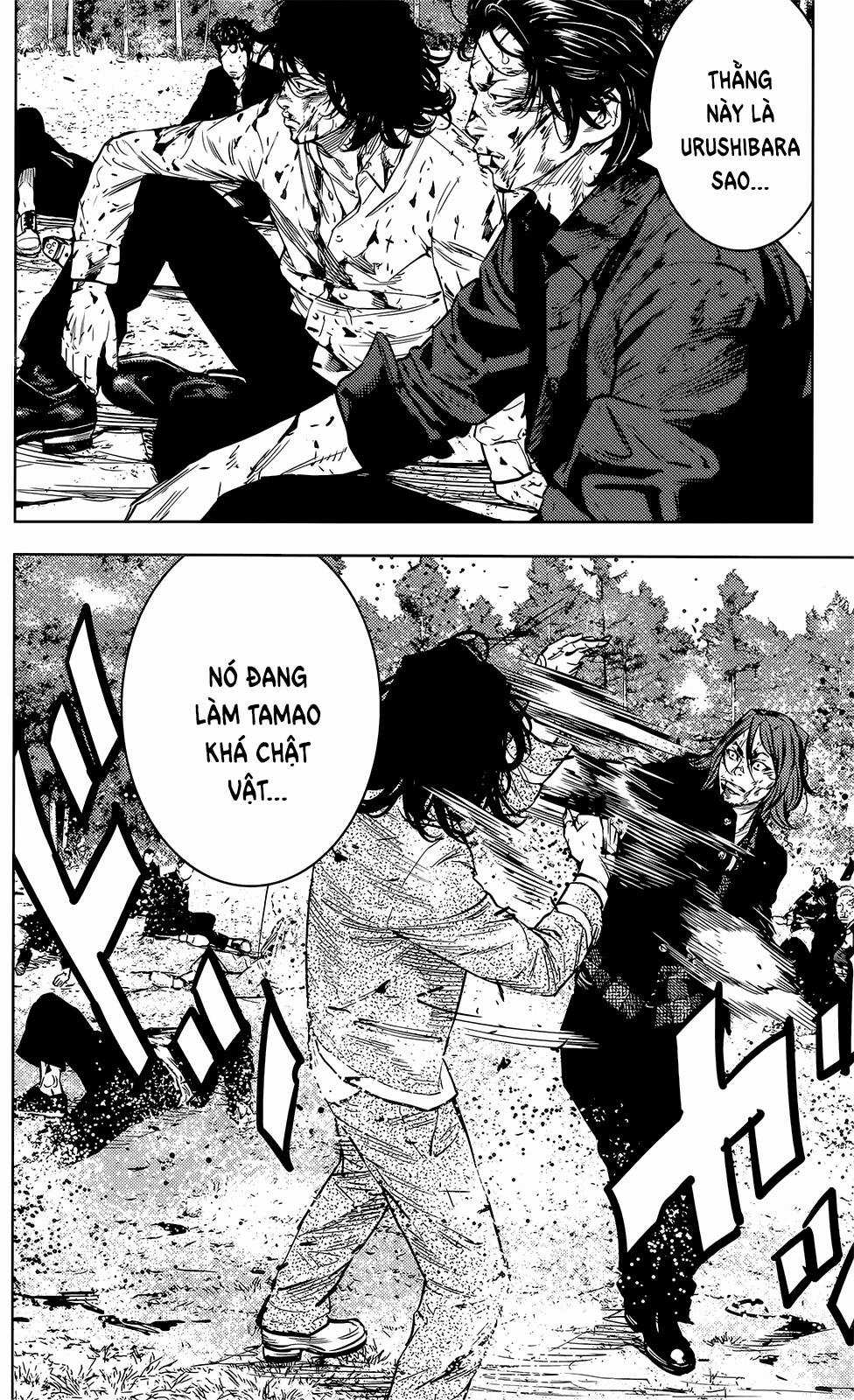 Crows Zero 2 Chapter 46 trang 5