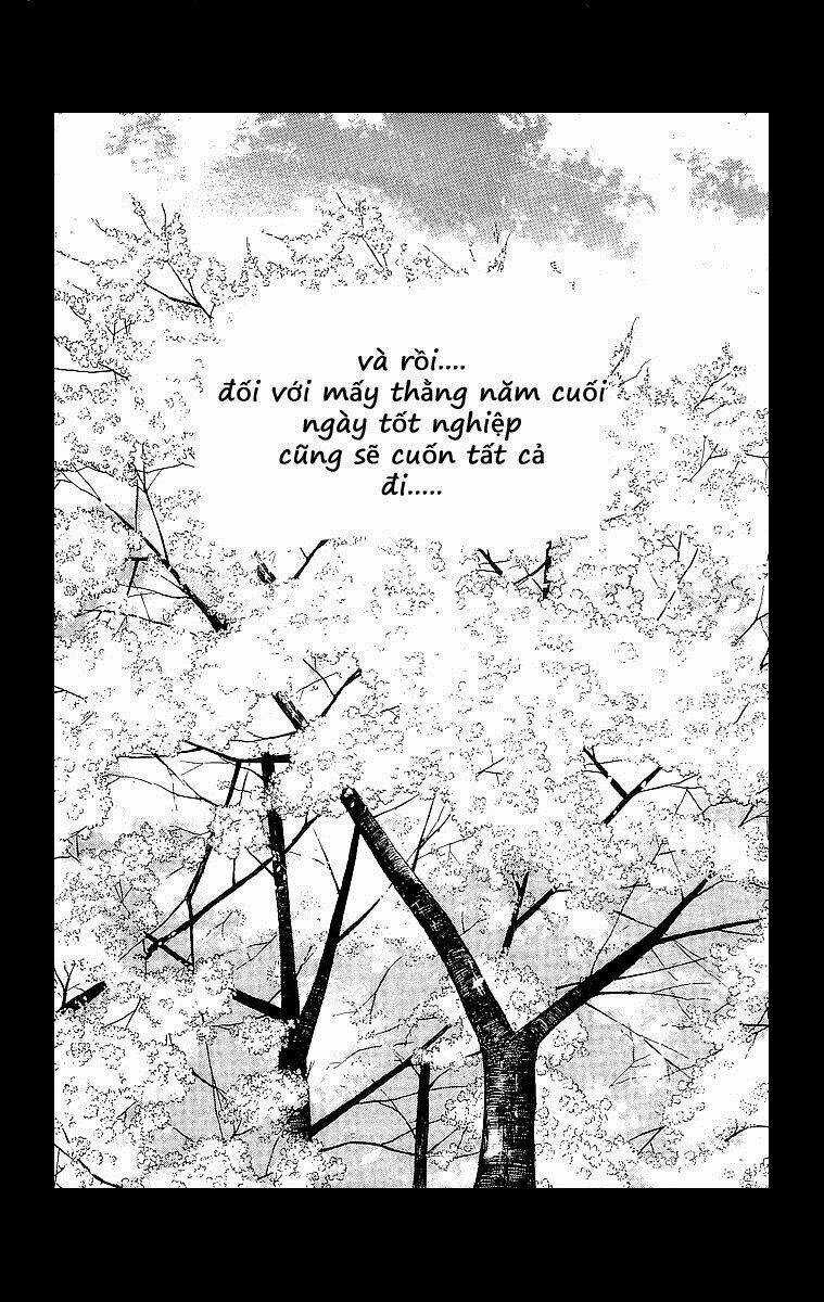 Crows Chapter 54 trang 41