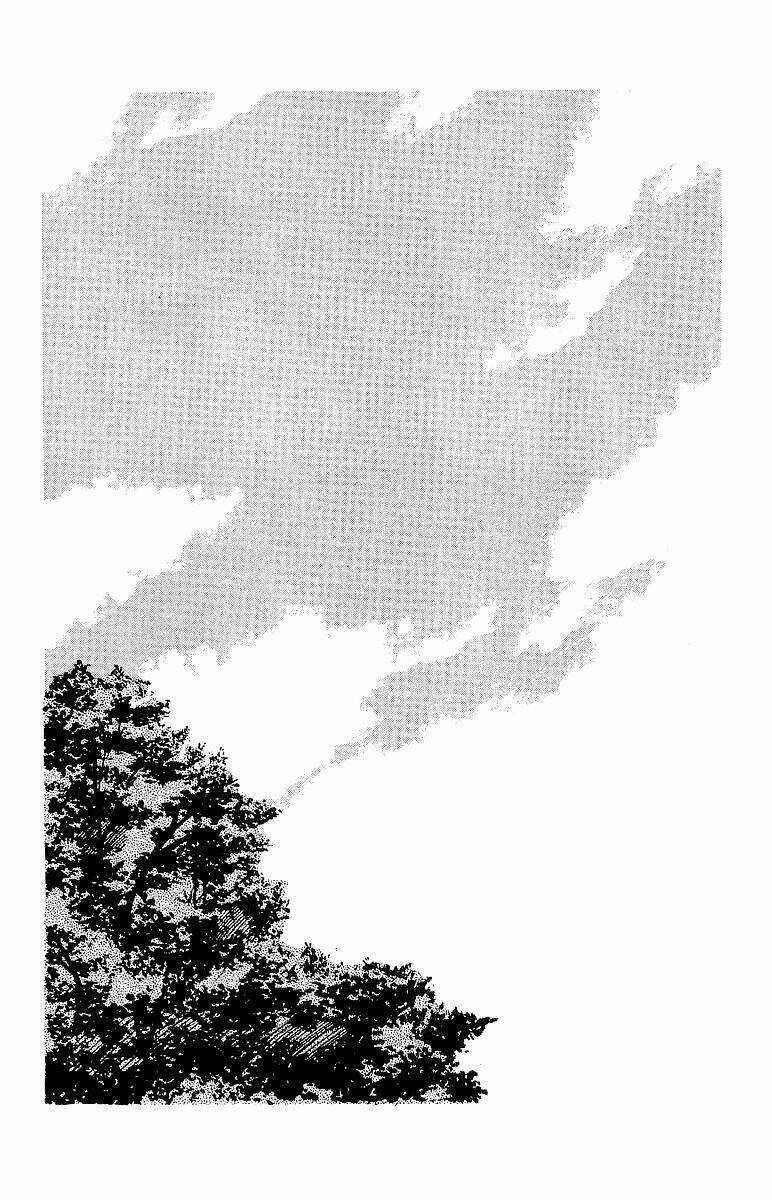 Crows Chapter 61 trang 8