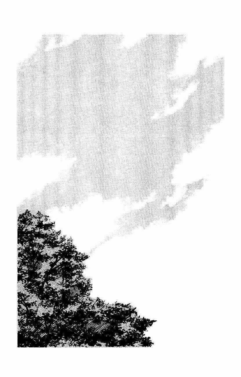 Crows Chapter 87 trang 3