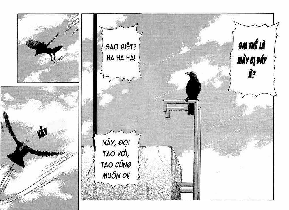 Crows Chapter 95 trang 51
