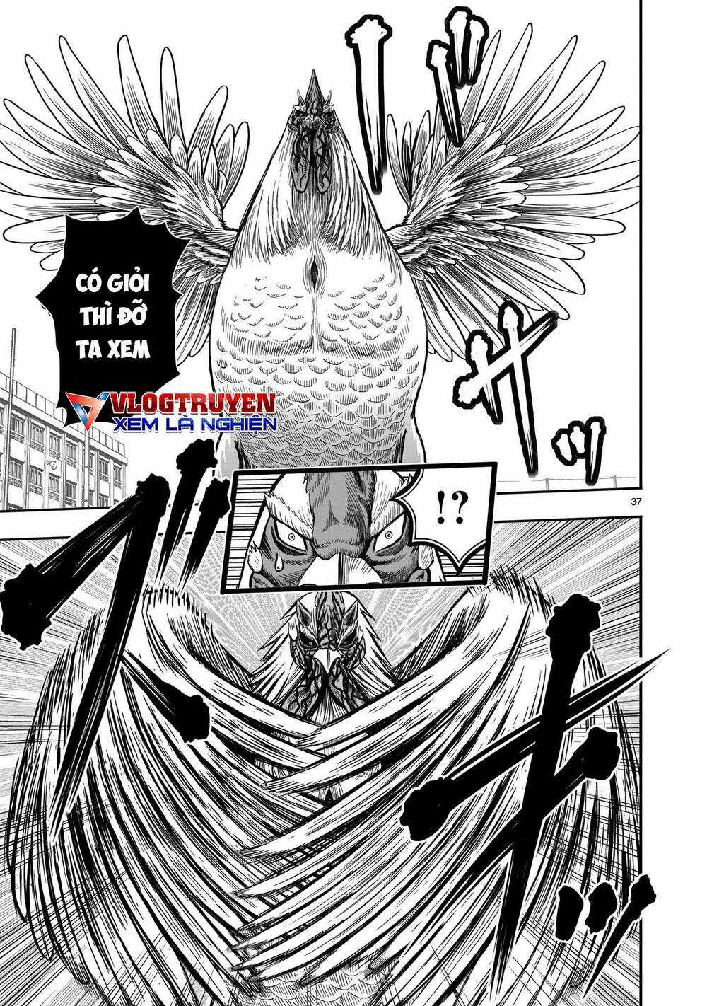 Cự Kê Chiến Ký Chapter 11 trang 38