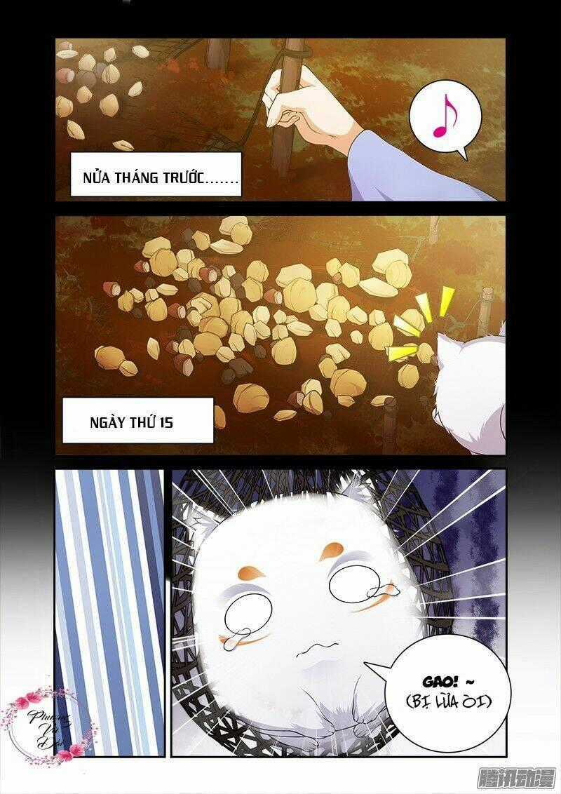 Cự Tuyệt Bạo Quân Chuyên Sủng: Hung Mãnh Vương Phi Chapter 19 trang 8