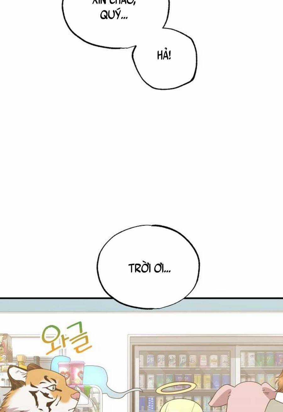 Cửa Hàng Diệu Kỳ Chương 32 trang 25