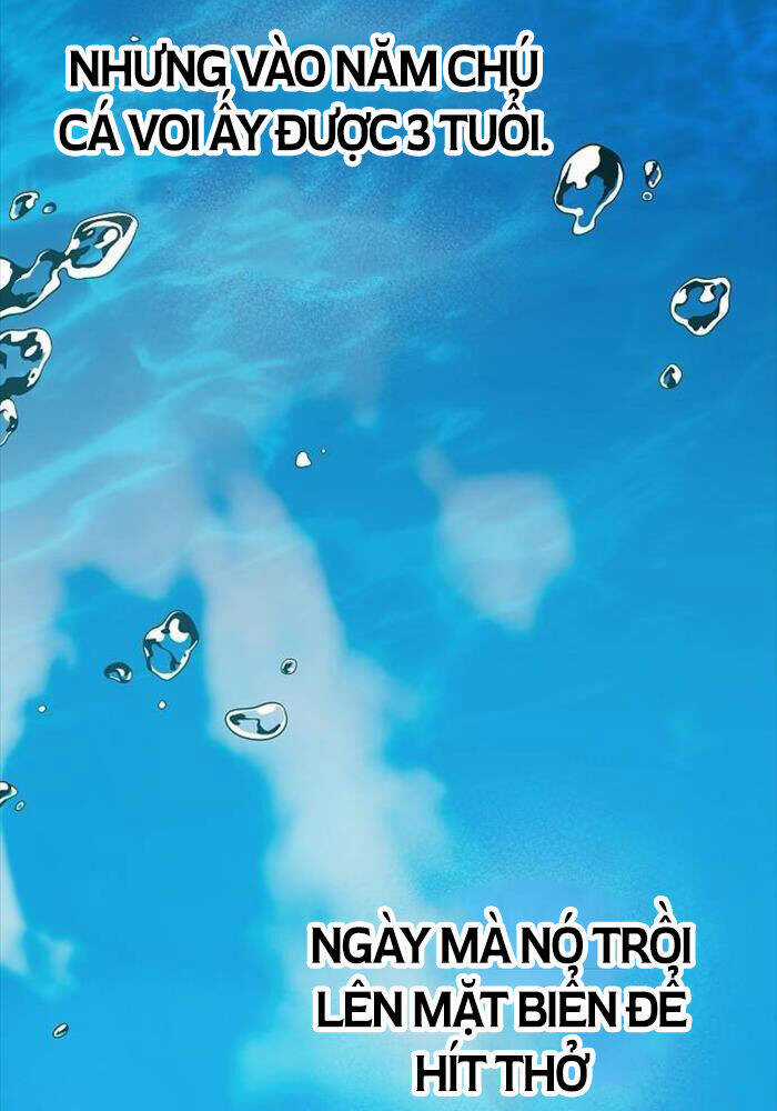 Cửa Hàng Diệu Kỳ Chương 41 trang 28