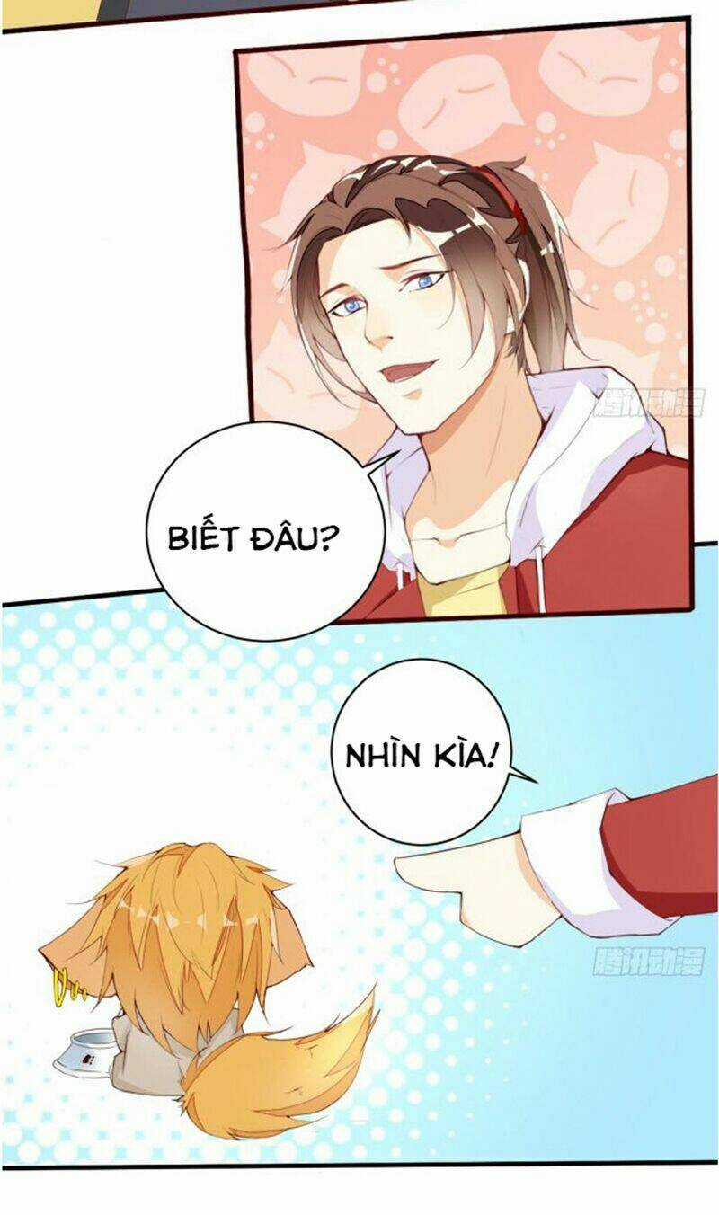 Cửa Hàng Thông Thiên Giới Chapter 8 trang 17