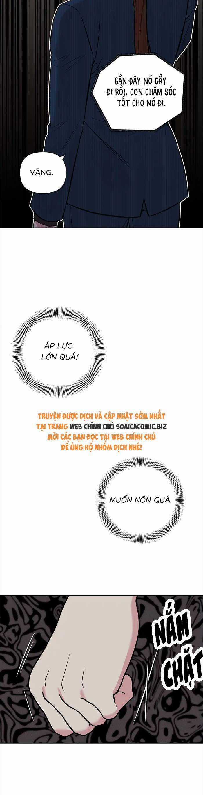 Cua Lại Vợ Yêu Món quà ý nghĩa nhất cho người thân yêu Chapter 11 trang 8