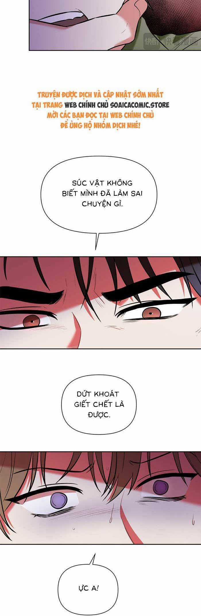 Cua Lại Vợ Yêu Chapter 4 trang 19