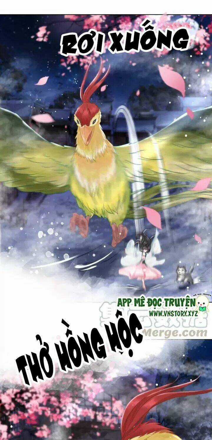 Cực Phẩm Phế Vật Tiểu Thư Chapter 105 trang 11