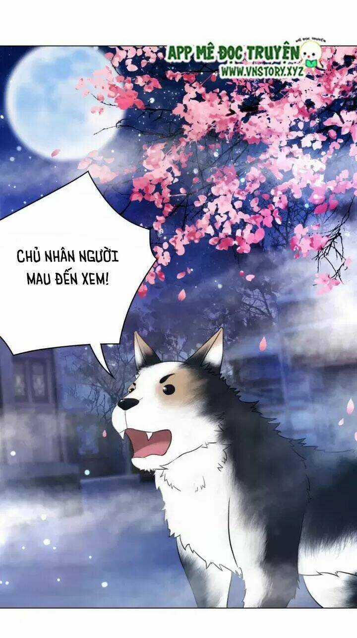 Cực Phẩm Phế Vật Tiểu Thư Chapter 105 trang 18