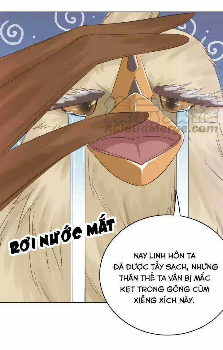 Cực Phẩm Phế Vật Tiểu Thư Chapter 107 trang 17