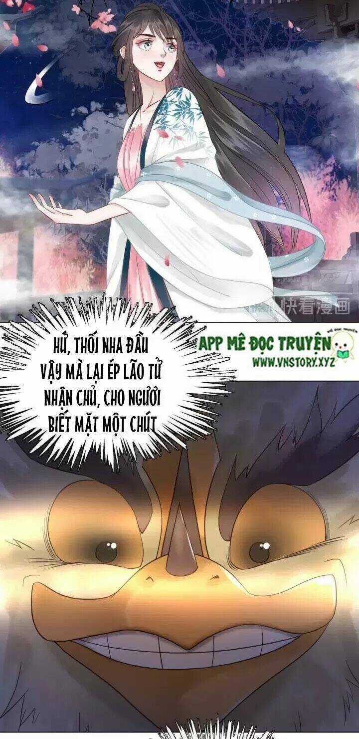 Cực Phẩm Phế Vật Tiểu Thư Chapter 107 trang 41