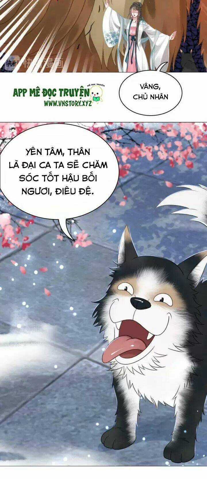 Cực Phẩm Phế Vật Tiểu Thư Chapter 108 trang 10