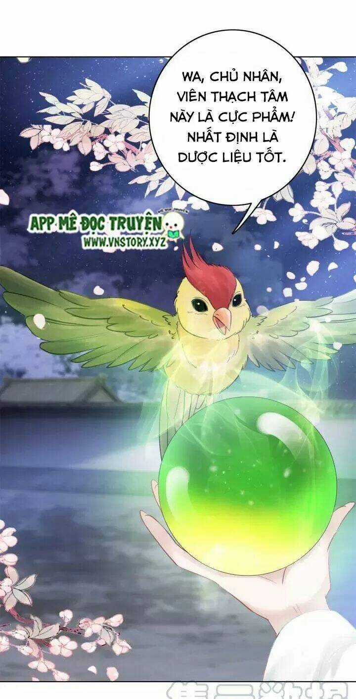 Cực Phẩm Phế Vật Tiểu Thư Chapter 108 trang 15