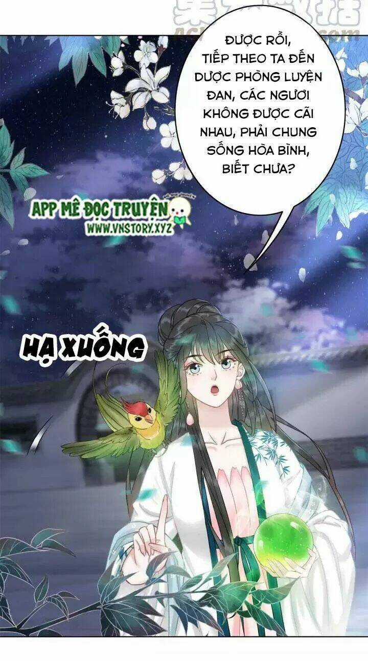 Cực Phẩm Phế Vật Tiểu Thư Chapter 108 trang 16