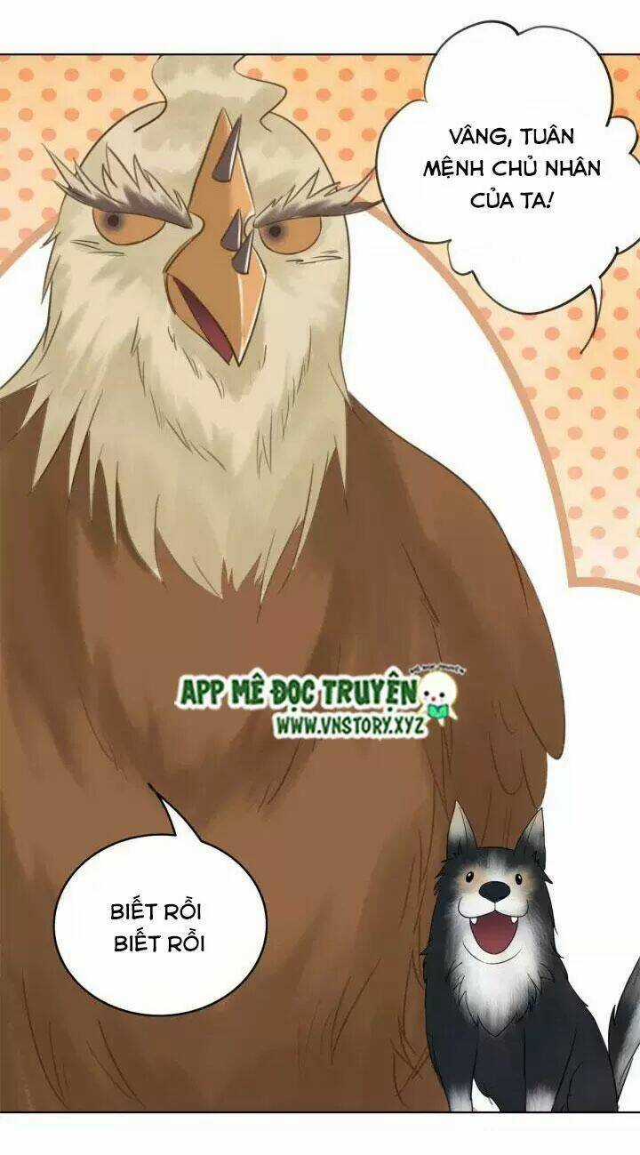 Cực Phẩm Phế Vật Tiểu Thư Chapter 108 trang 17