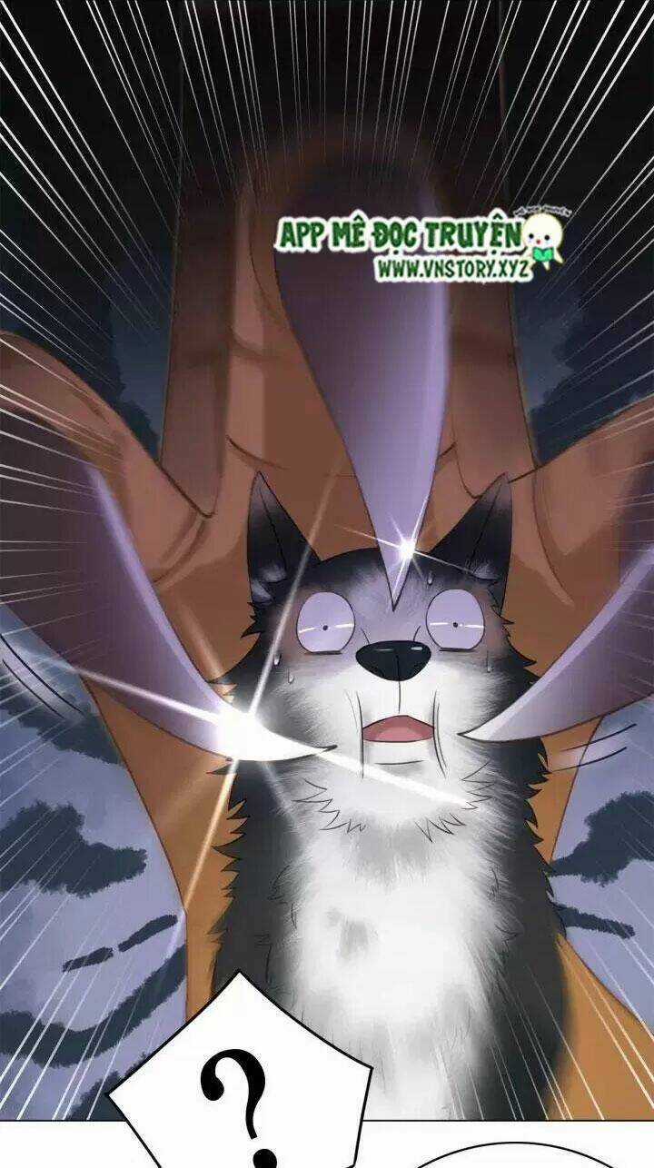 Cực Phẩm Phế Vật Tiểu Thư Chapter 108 trang 19