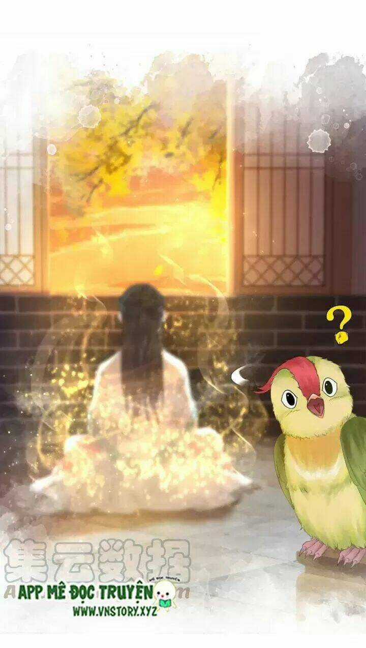 Cực Phẩm Phế Vật Tiểu Thư Chapter 108 trang 24