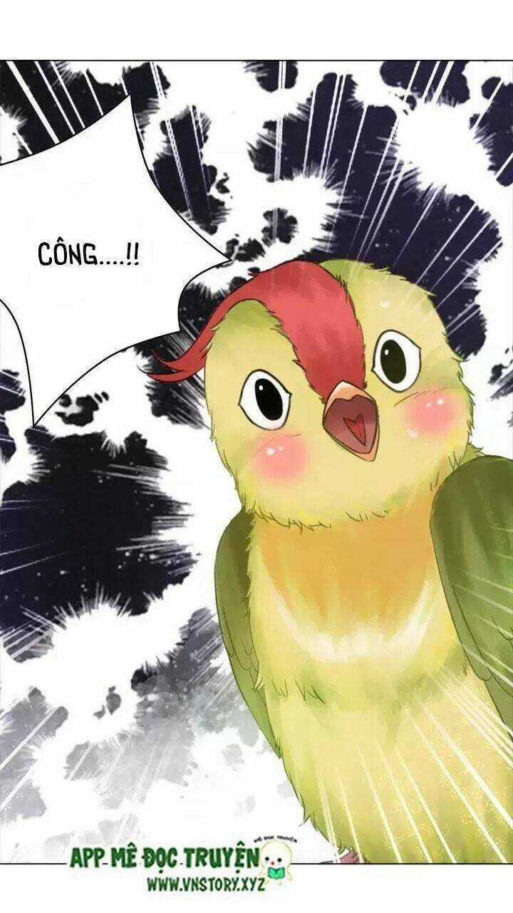 Cực Phẩm Phế Vật Tiểu Thư Chapter 108 trang 25