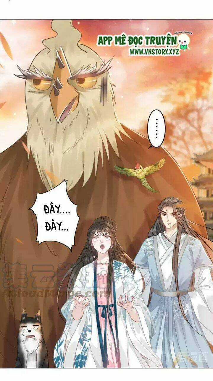 Cực Phẩm Phế Vật Tiểu Thư Chapter 109 trang 18