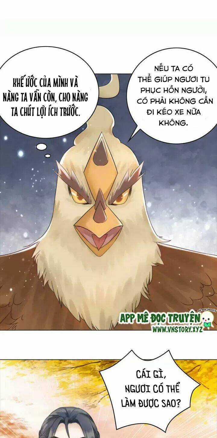 Cực Phẩm Phế Vật Tiểu Thư Chapter 109 trang 25