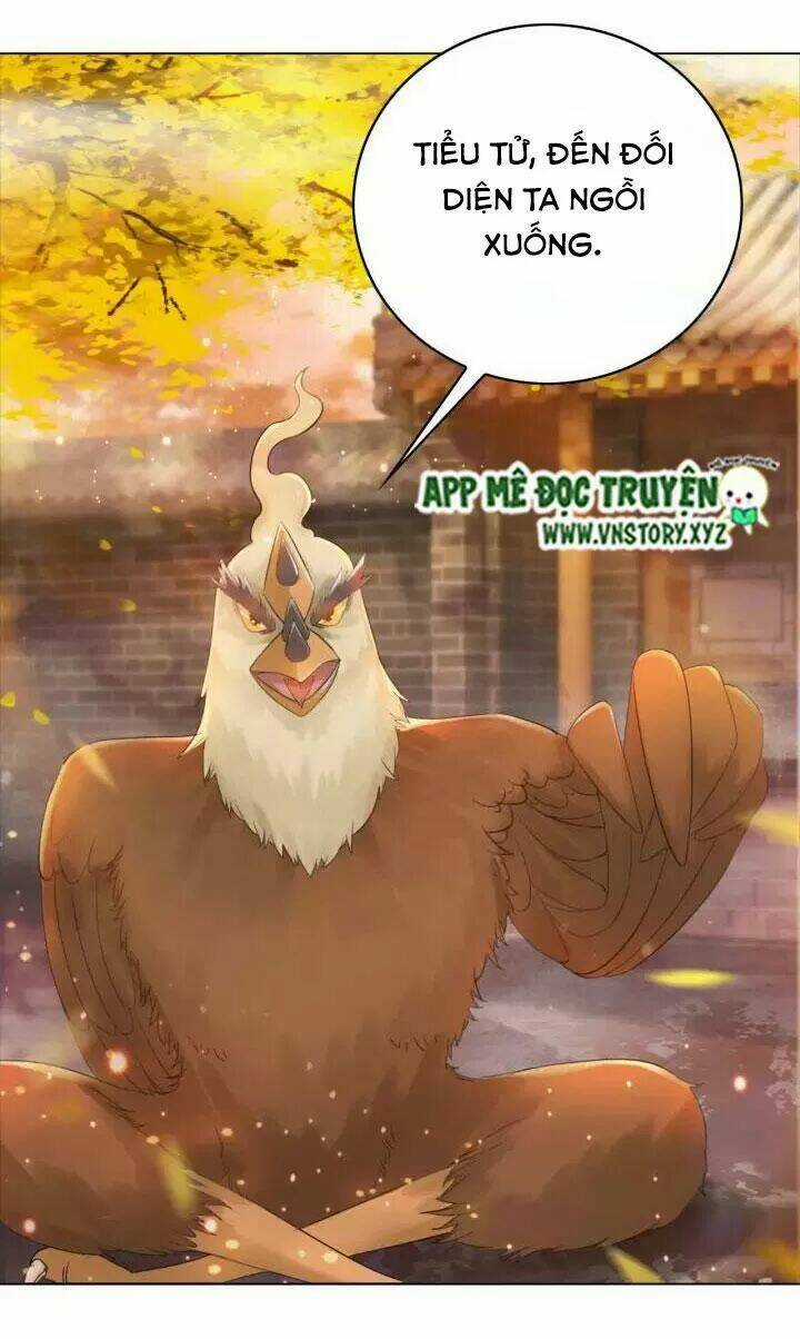 Cực Phẩm Phế Vật Tiểu Thư Chapter 109 trang 27