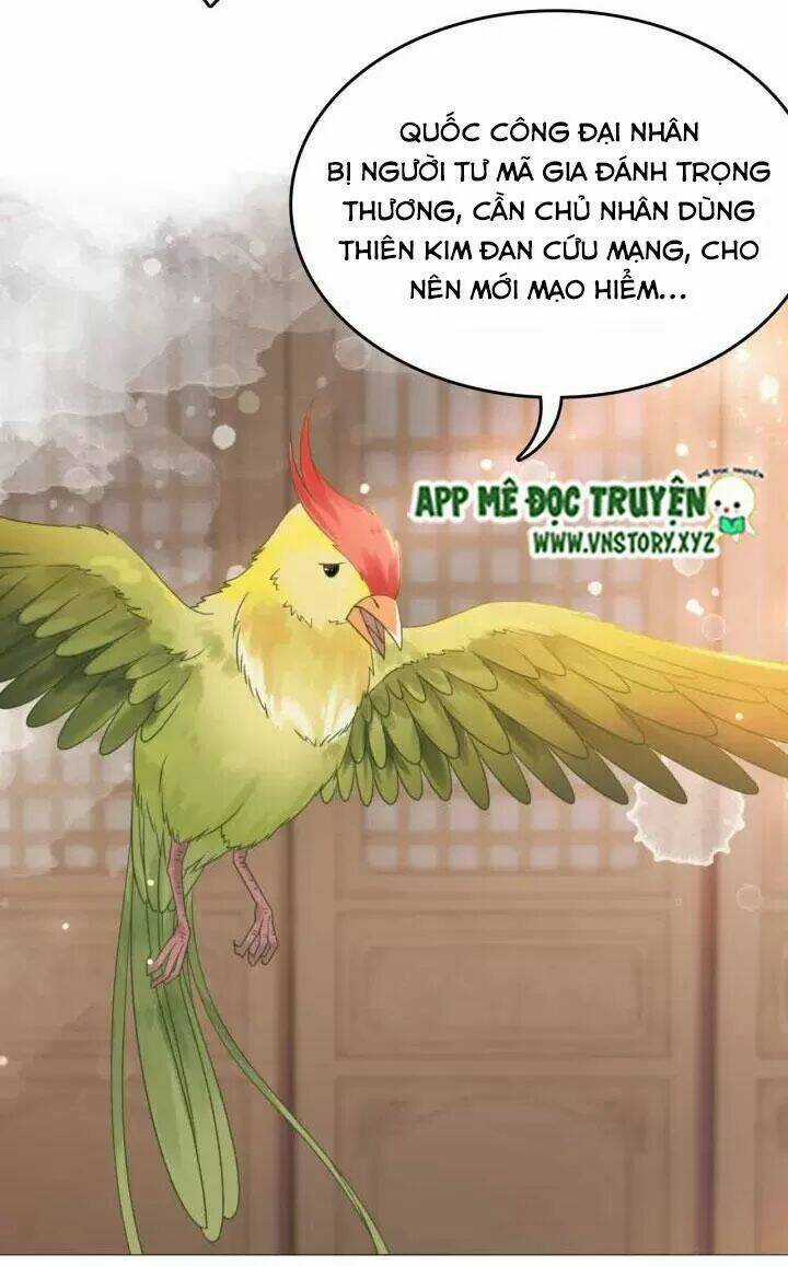 Cực Phẩm Phế Vật Tiểu Thư Chapter 109 trang 51