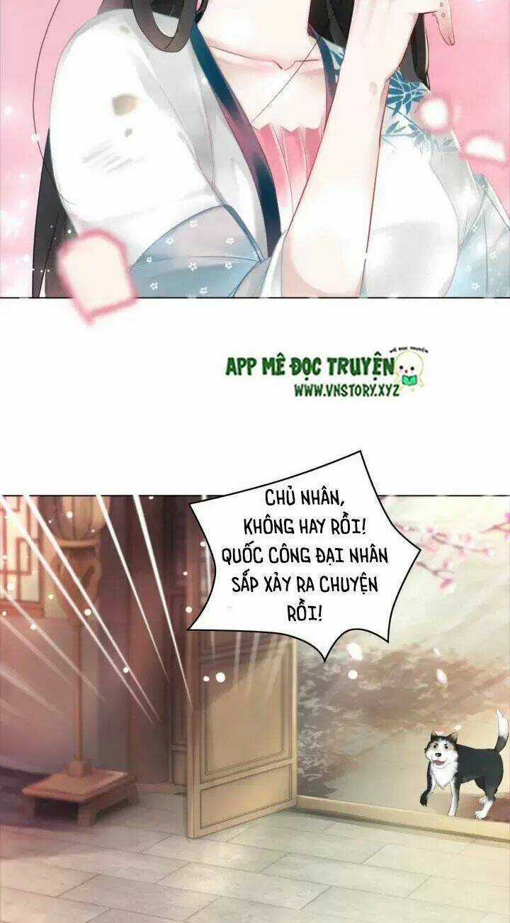 Cực Phẩm Phế Vật Tiểu Thư Chapter 114 trang 14