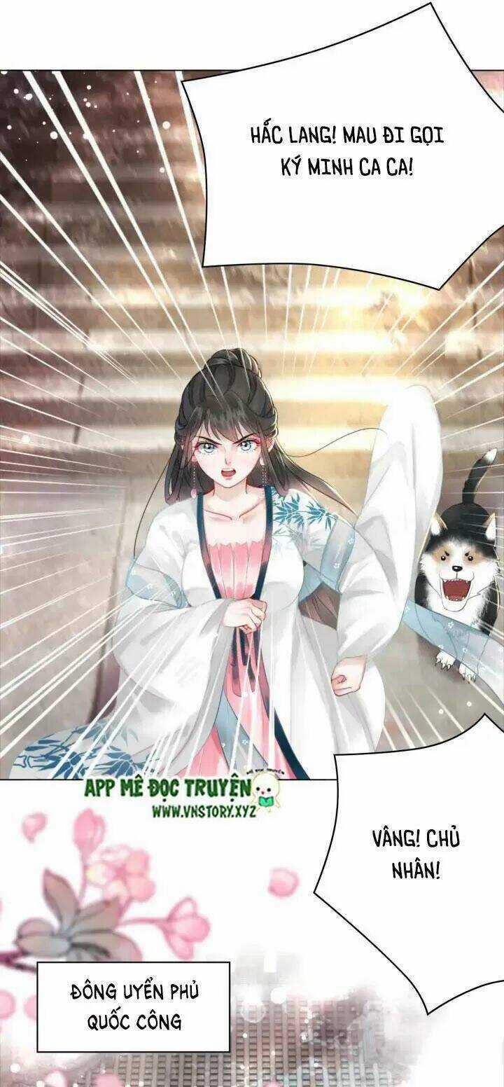 Cực Phẩm Phế Vật Tiểu Thư Chapter 114 trang 16