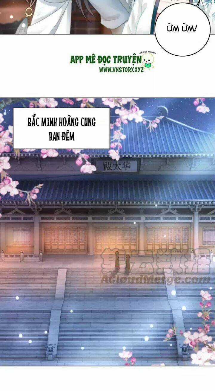 Cực Phẩm Phế Vật Tiểu Thư Chapter 119 trang 14