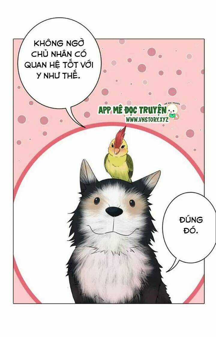 Cực Phẩm Phế Vật Tiểu Thư Chapter 46 trang 8