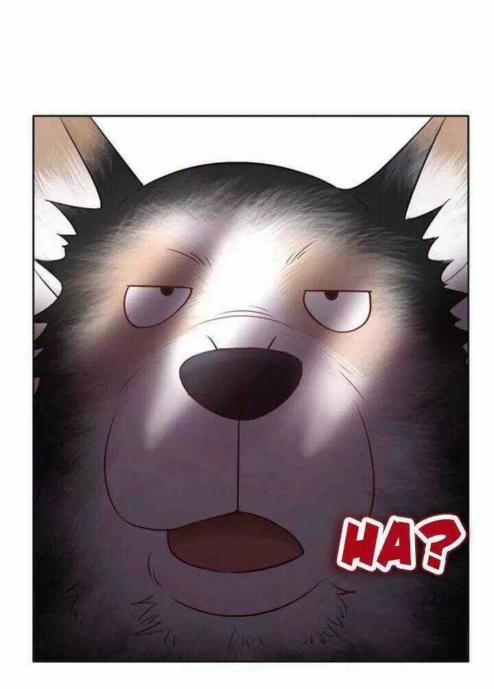 Cực Phẩm Phế Vật Tiểu Thư Chapter 48 trang 29