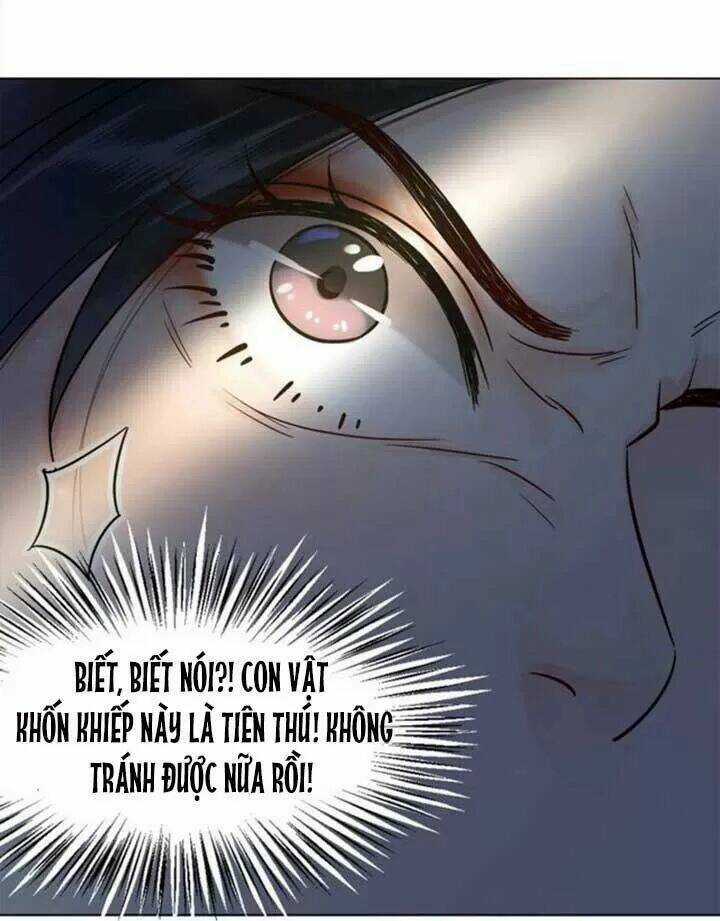 Cực Phẩm Phế Vật Tiểu Thư Chapter 48 trang 43