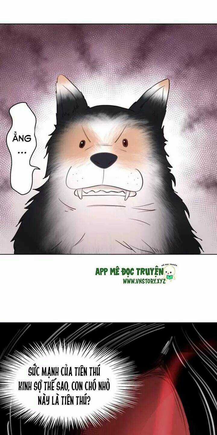 Cực Phẩm Phế Vật Tiểu Thư Chapter 51 trang 28