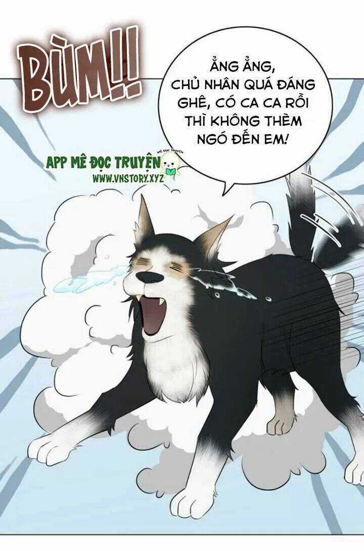 Cực Phẩm Phế Vật Tiểu Thư Chapter 58 trang 3