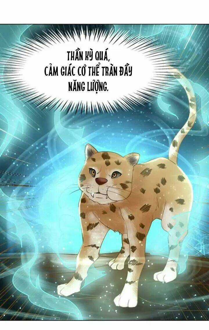 Cực Phẩm Phế Vật Tiểu Thư Chapter 60 trang 45