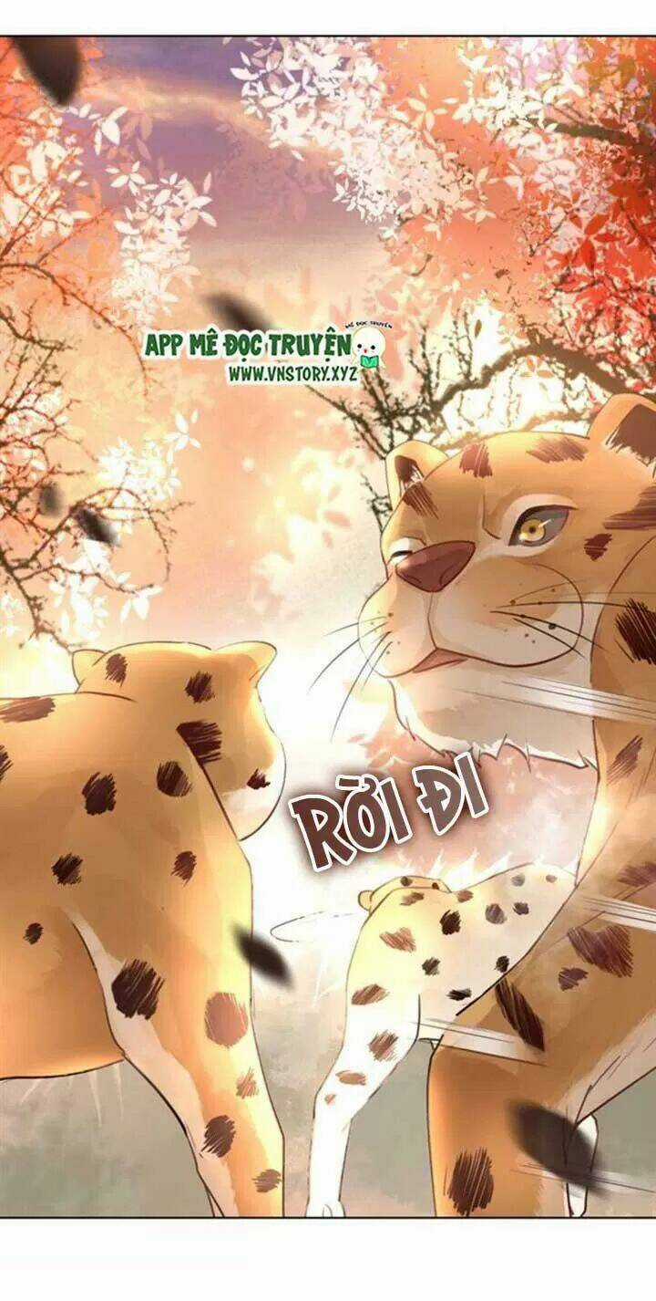 Cực Phẩm Phế Vật Tiểu Thư Chapter 61 trang 28