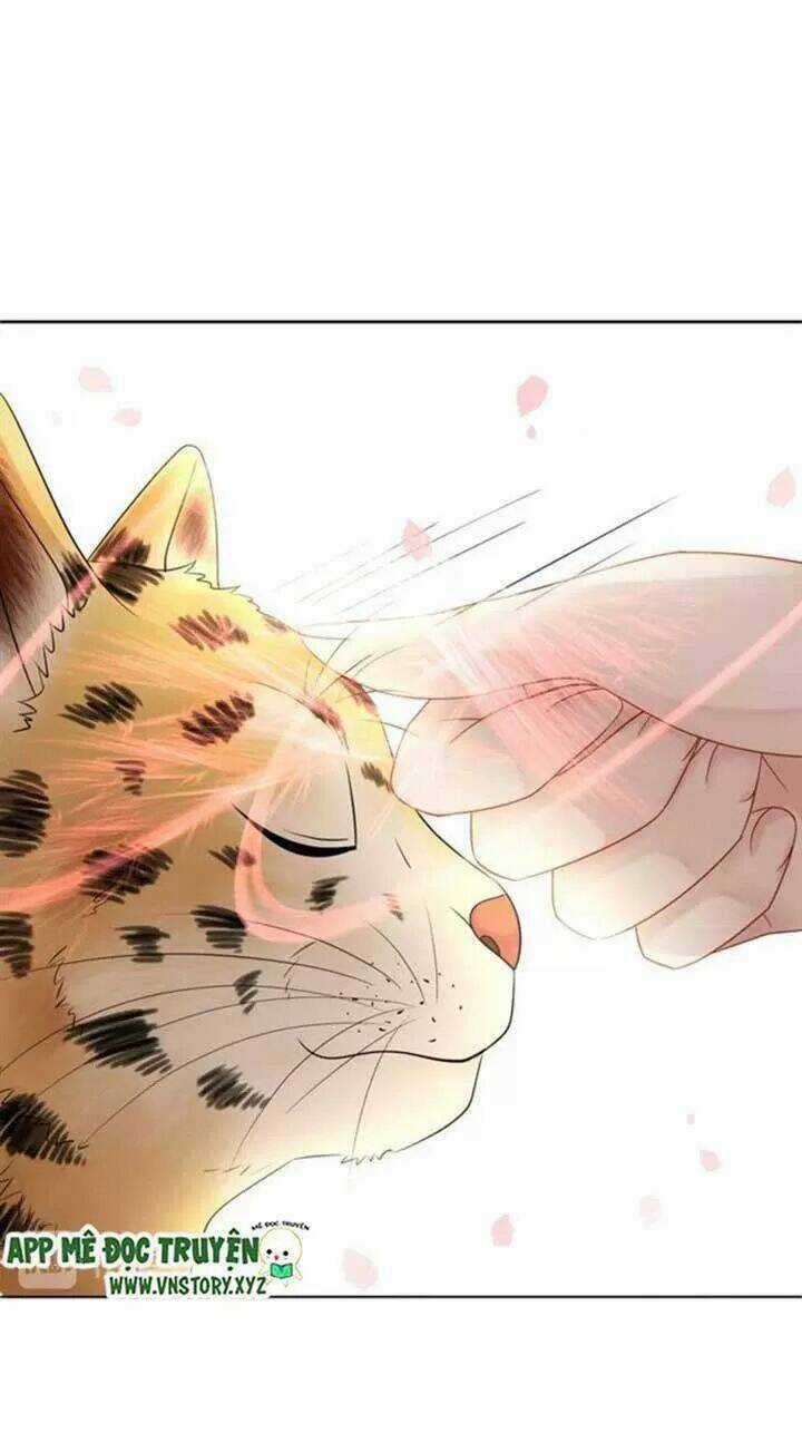 Cực Phẩm Phế Vật Tiểu Thư Chapter 61 trang 34