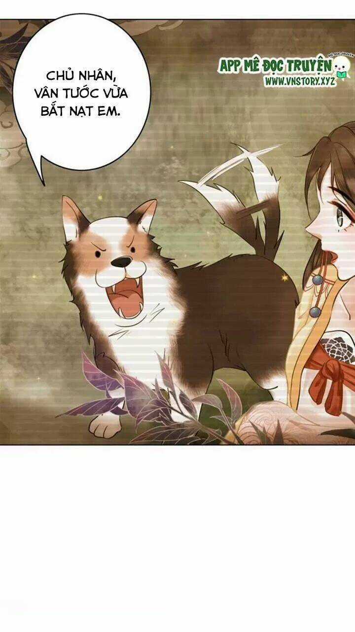 Cực Phẩm Phế Vật Tiểu Thư Chapter 61 trang 4