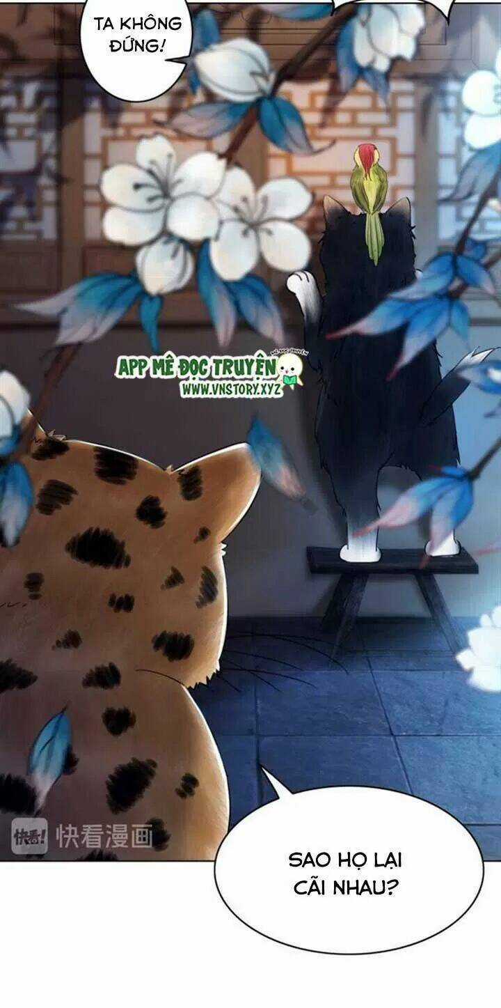 Cực Phẩm Phế Vật Tiểu Thư Chapter 64 trang 51