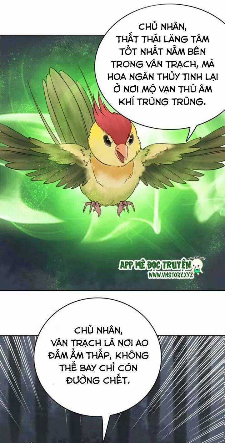 Cực Phẩm Phế Vật Tiểu Thư Chapter 66 trang 29