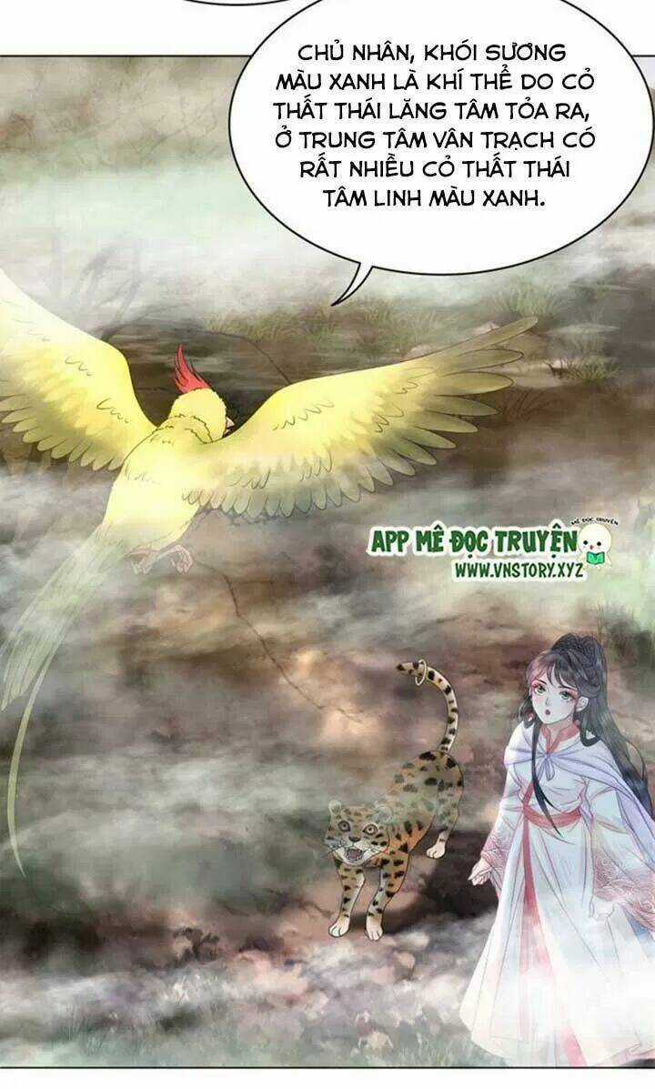 Cực Phẩm Phế Vật Tiểu Thư Chapter 67 trang 11