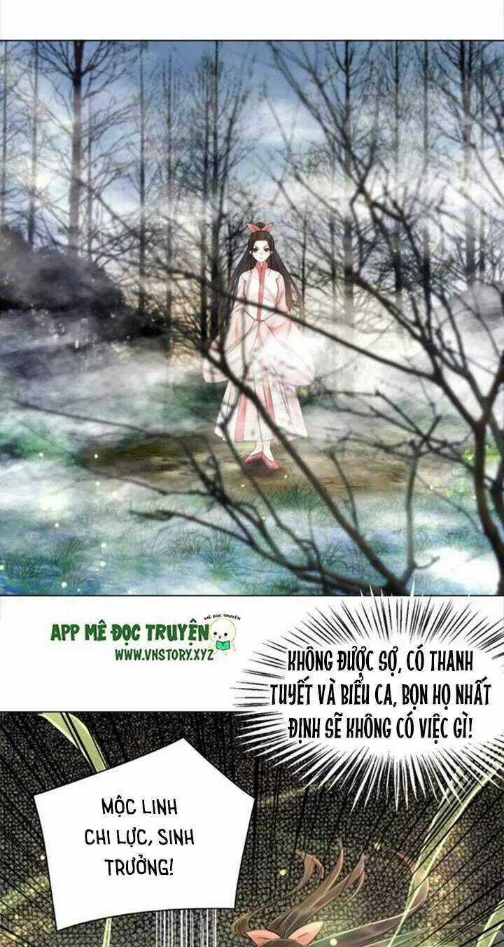 Cực Phẩm Phế Vật Tiểu Thư Chapter 67 trang 16