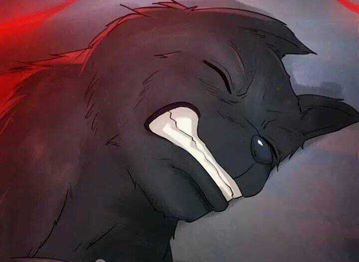 Cực Phẩm Phế Vật Tiểu Thư Chapter 70 trang 42