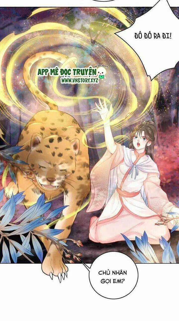 Cực Phẩm Phế Vật Tiểu Thư Chapter 74 trang 46