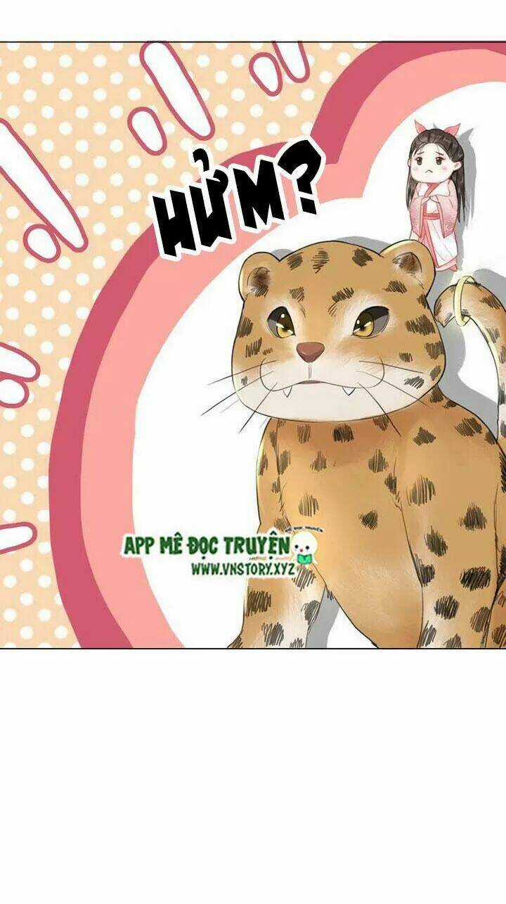 Cực Phẩm Phế Vật Tiểu Thư Chapter 74 trang 47