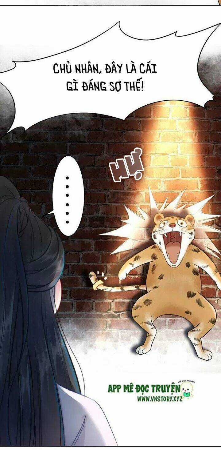 Cực Phẩm Phế Vật Tiểu Thư Chapter 74 trang 49